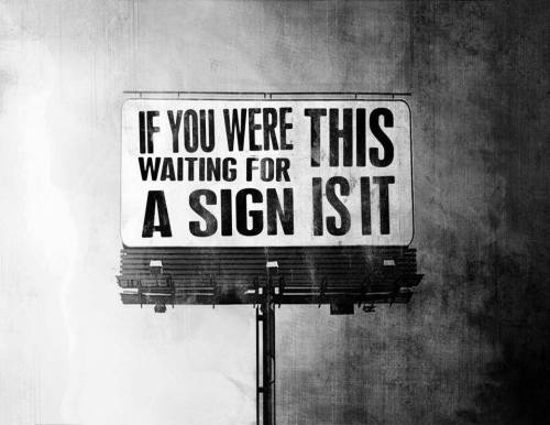 1375161_10201716219804011_451672676_n